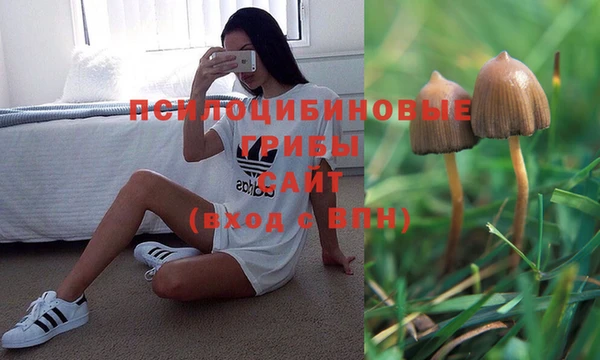 MDMA Premium VHQ Михайловск