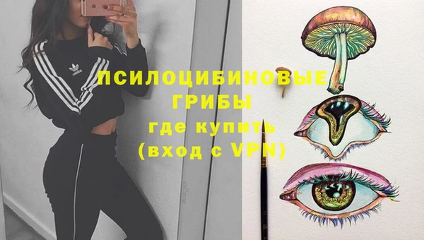 дживик Алексин